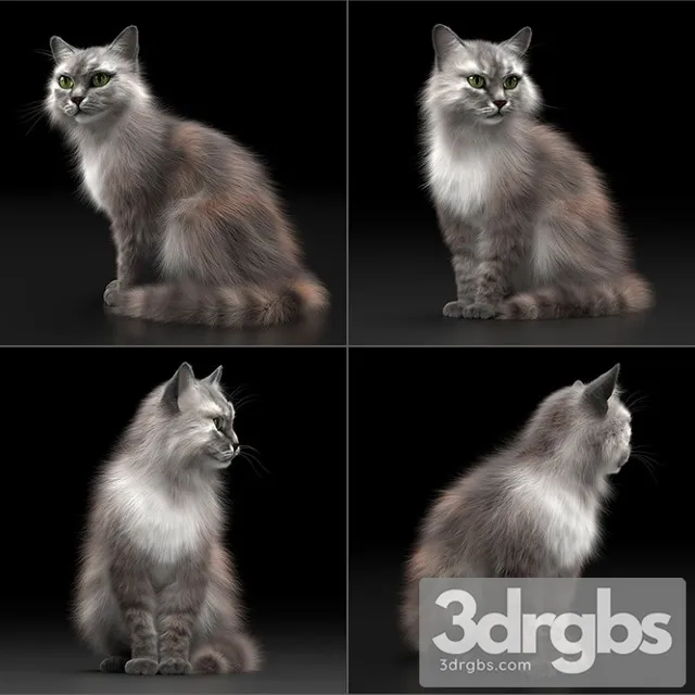 Cat Fur 3D Model Download