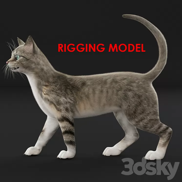Cat (Riga) 3D Model