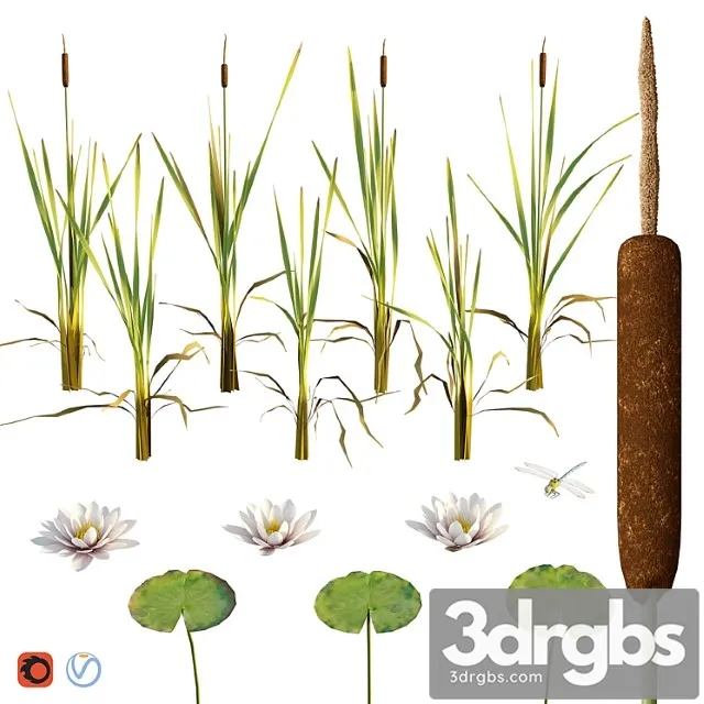 Cattail Water Lily Dragonfly 3D Model Download