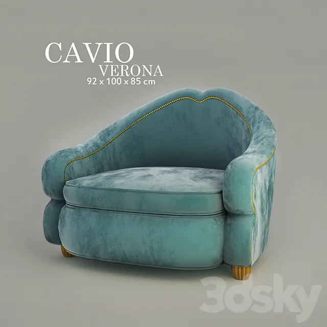 Cavio 3D Model