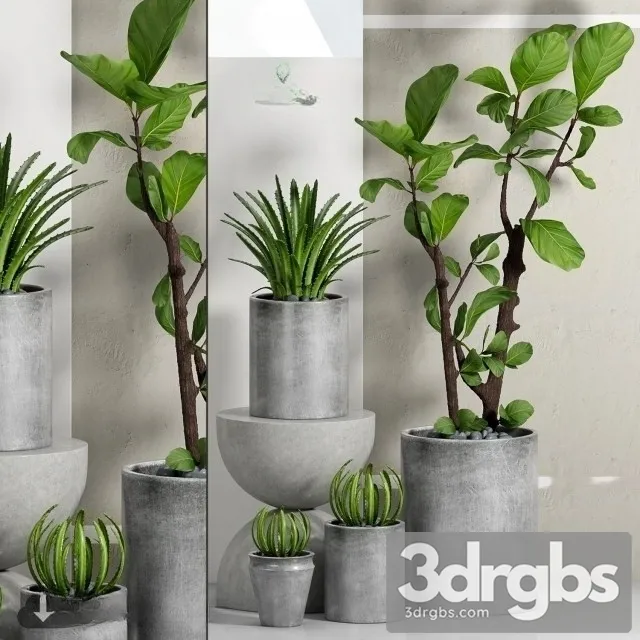 Cement Plant Pots 3D Model Download