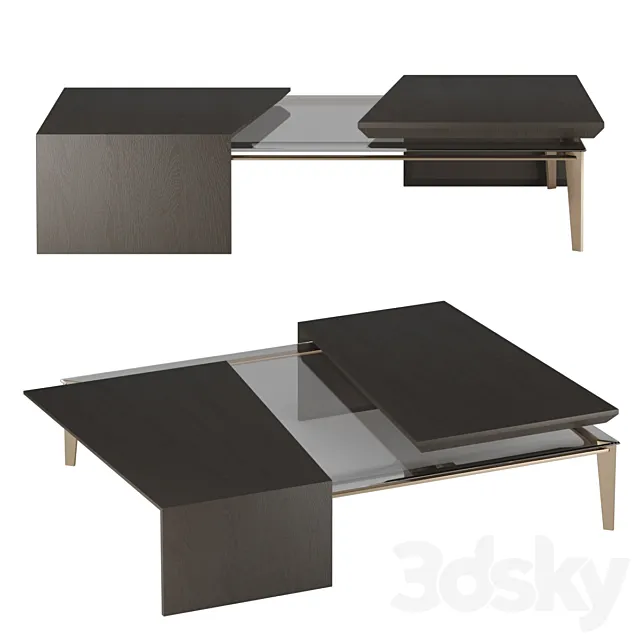 CENTER TABLE PAWSON 3DModel