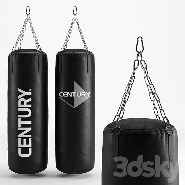 CENTURY HEAVY BAG 3D Model