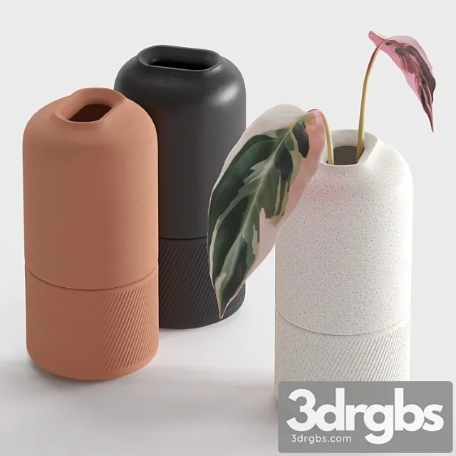 Ceramic Vases Zenn Vases by Axioma 3D Model Download