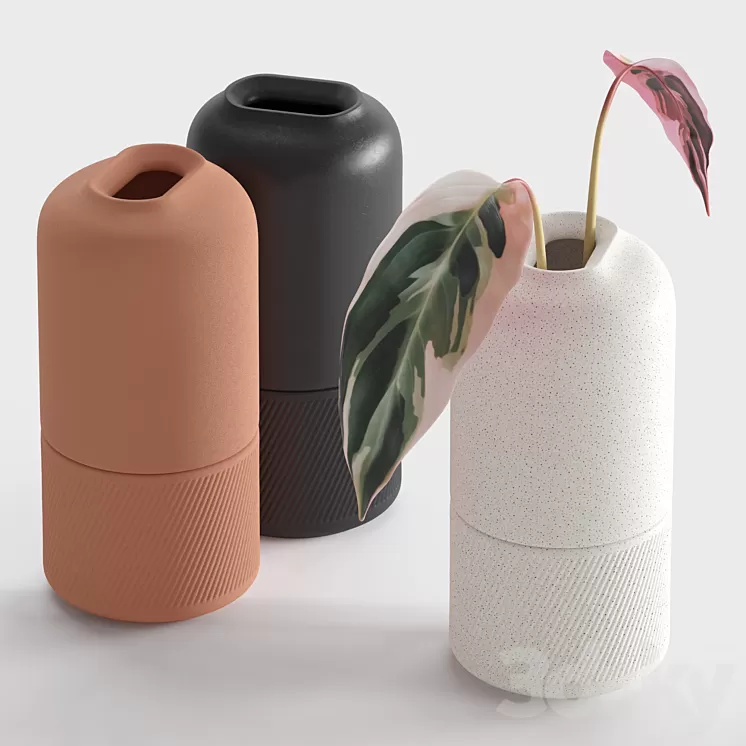 Ceramic Vases (Zenn Vases by Axioma) 3D Model Free Download