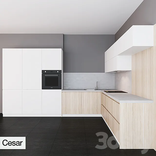 Cesar Maxima 2.2 zahvat hook 3DModel