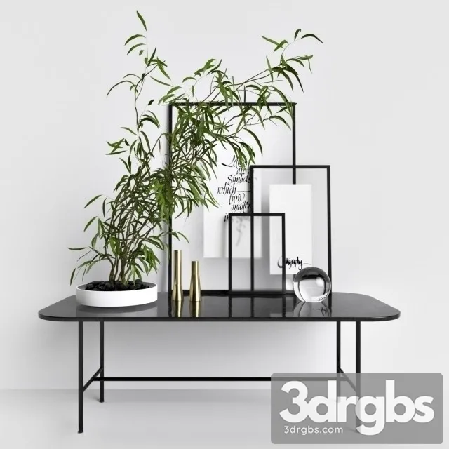 Chamaedorea Elegans Decor 3D Model Download