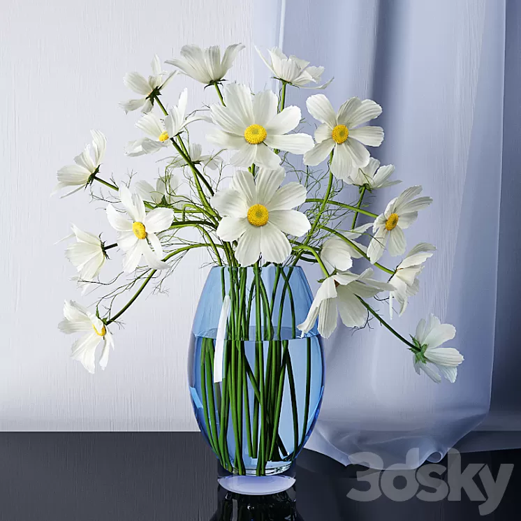 Chamomile 3D Model