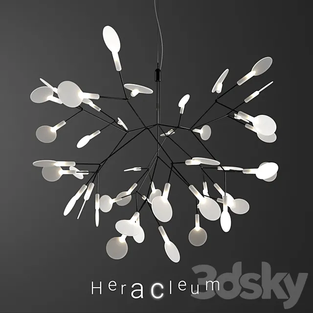 Chandelier Moooi Heracleum II Small BLACK 3D Model