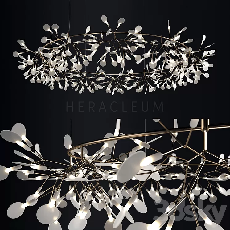 Chandelier Moooi Heracleum the Big O 3D Model Chandelier Moooi Heracleum the Big O 3D Model