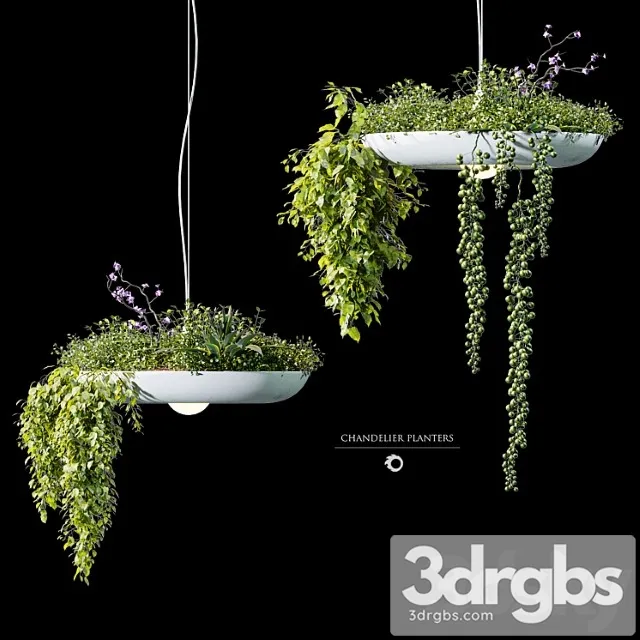 Chandelier plant pot Chandelier plant pot