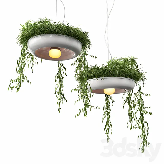Chandelier with plants 3DModel