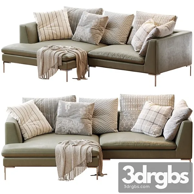 Charles large Charles large