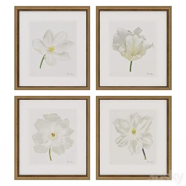 Charlotte Morgan White Watercolour Tulips 3D Model Charlotte Morgan White Watercolour Tulips 3D Model