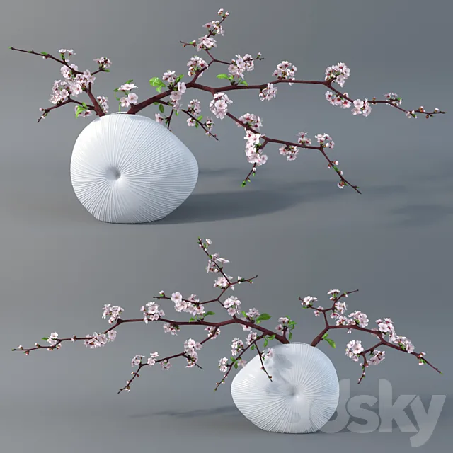 Cherry 3DModel