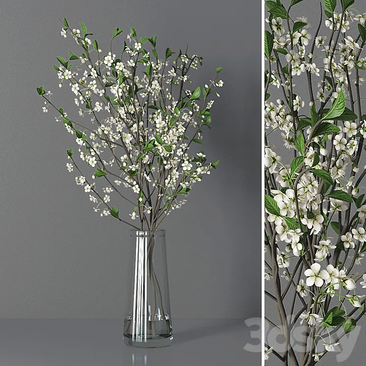 Cherry blossom 03 3D Model Free Download