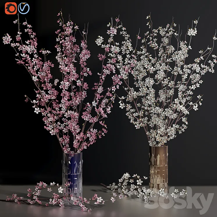 Cherry Blossom Sakura Flower Branch Vases 3D Model Free Download