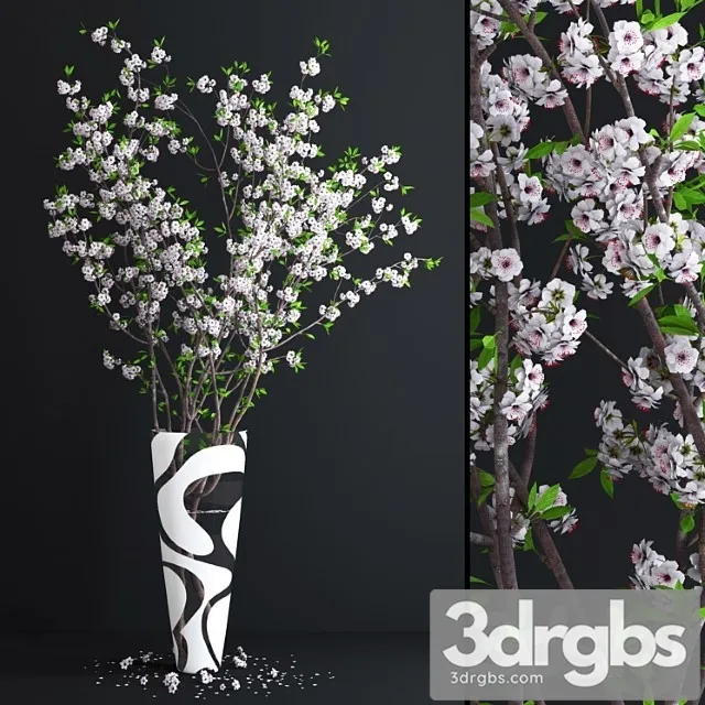 Cherry White Blossom 3D Model Download Cherry White Blossom 3D Model Download