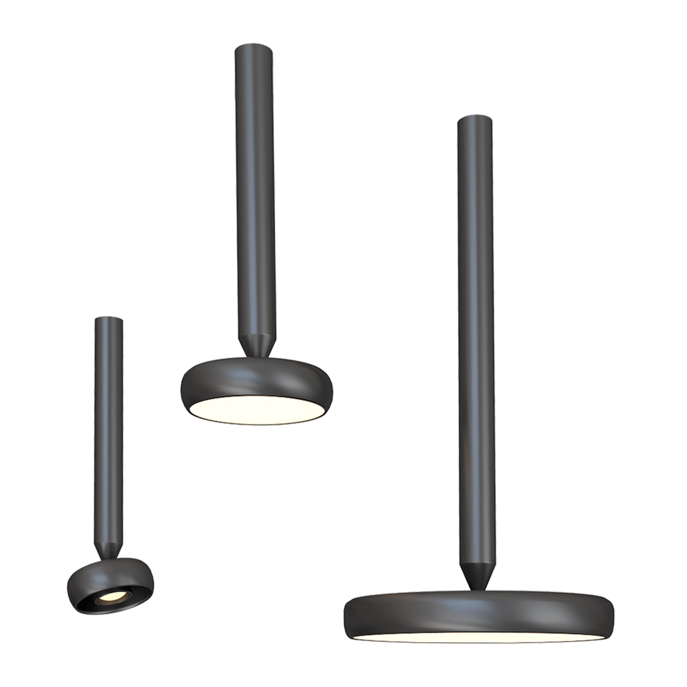 Chors – Spot light Myco On 3D Model Chors – Spot light Myco On 3D Model