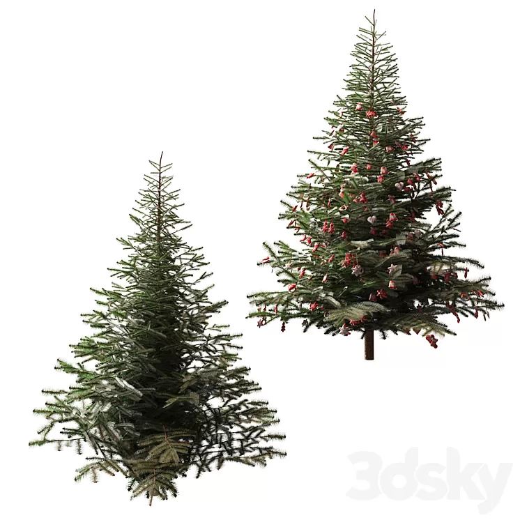 Christmas tree and Christmas tree 3D Model