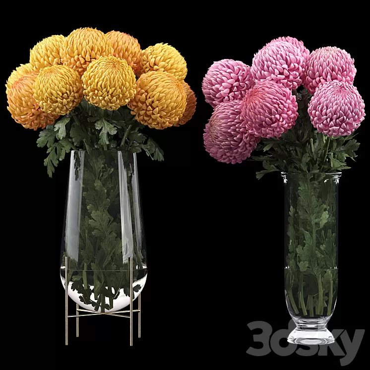 Chrysanthemum 2 3D Model