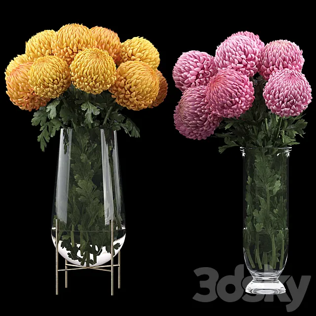 Chrysanthemum 2 3DModel