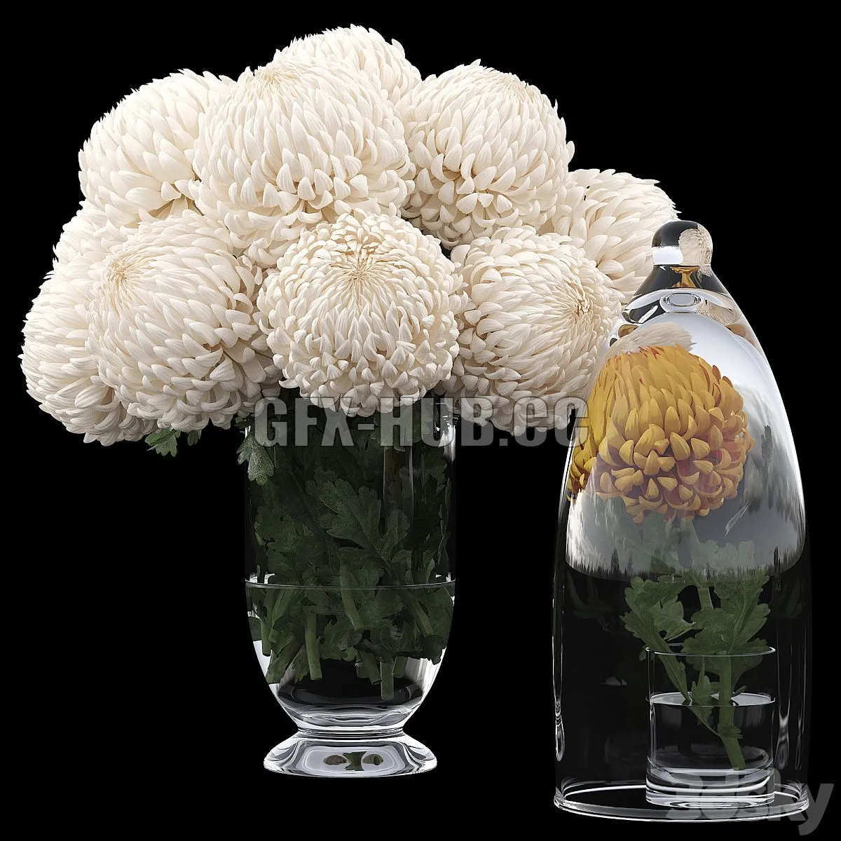 Chrysanthemums 1 3D Model