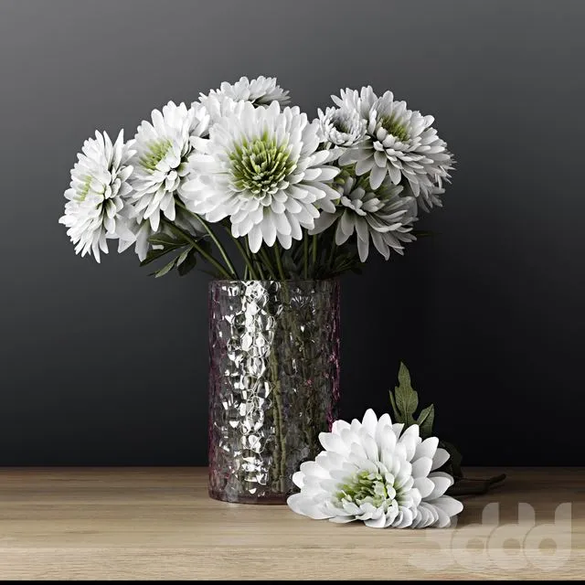 Chrysanthemums 3D Model