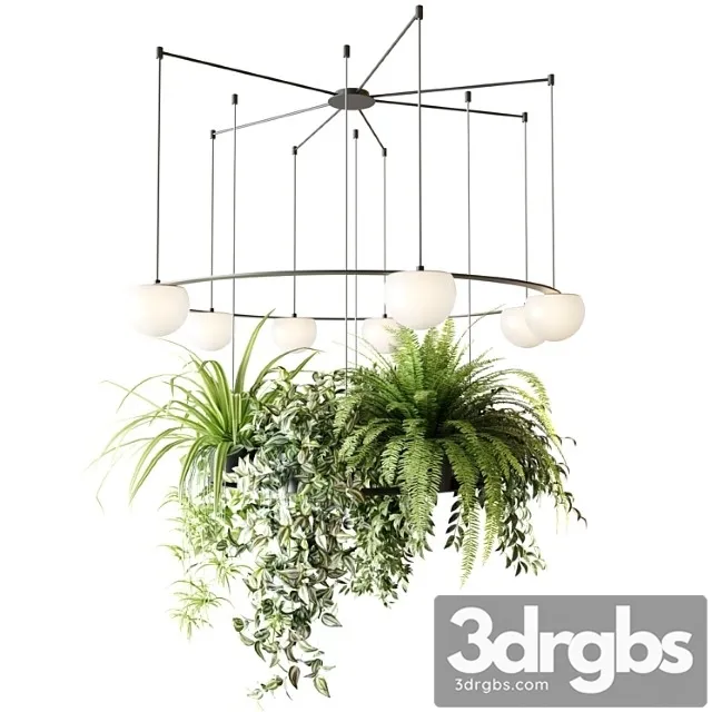 CIRC Suspension Lamps Pendants Chandelier With Ampelous Plants 3D Model Download