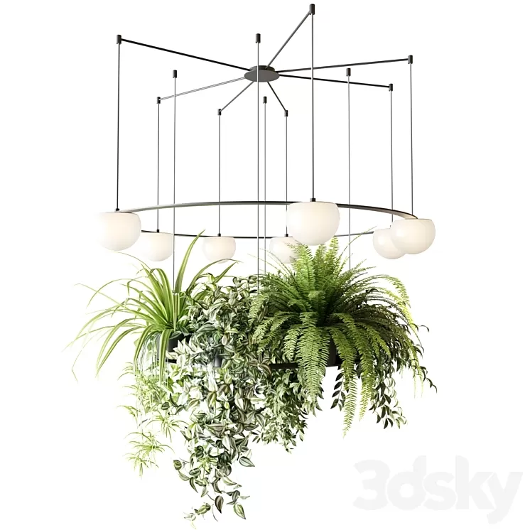 CIRC Suspension lamps Pendants chandelier with ampelous plants 3D Model Free Download