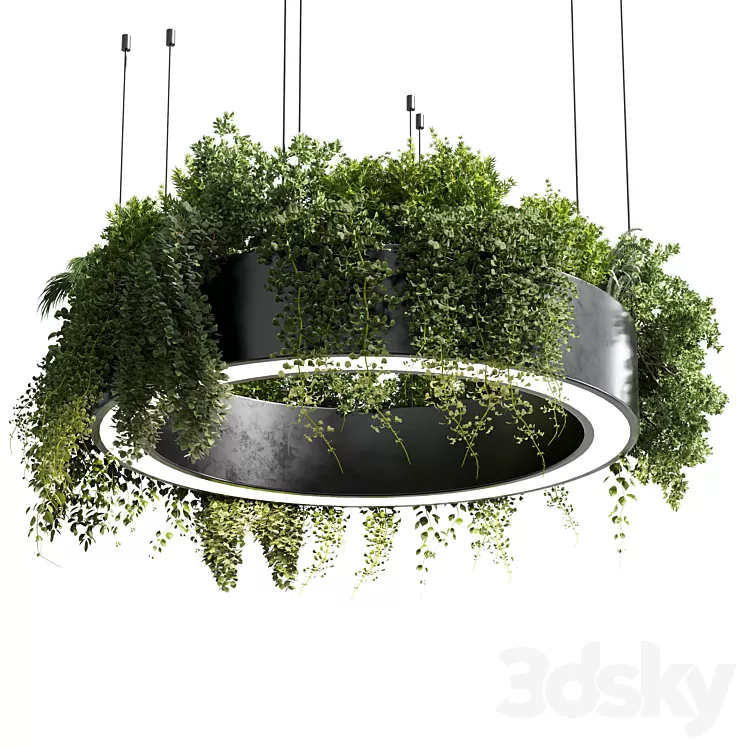 circle pot light – pendant plant light hanging 05 3D Model