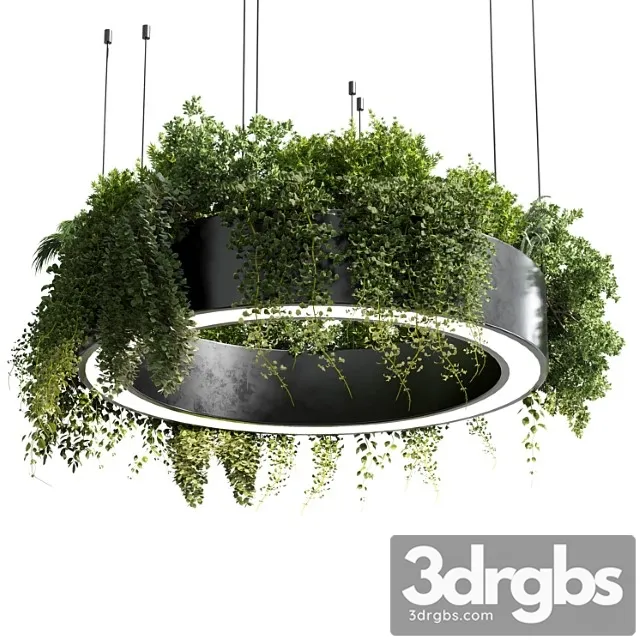 Circle pot light – pendant plant light hanging 05 Circle pot light – pendant plant light hanging 05