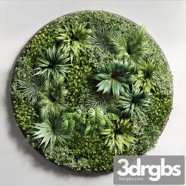 Circular fitowall – standing garden – vertical garden from indoor and outdoor plants collection 13t collections Circular fitowall – standing garden – vertical garden from indoor and outdoor plants collection 13t collections