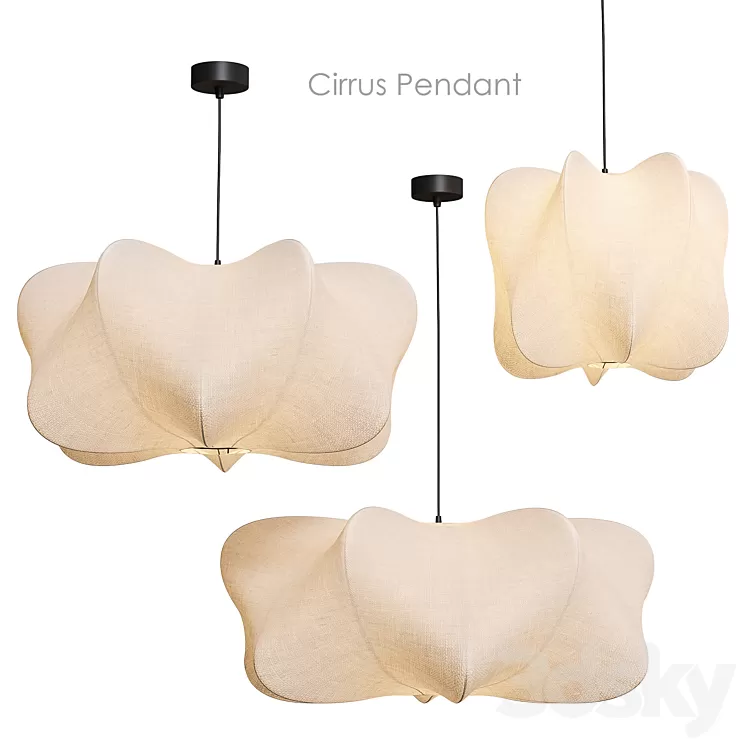 Cirrus Pendant Pendant lamp West Elm 3D Model Free Download