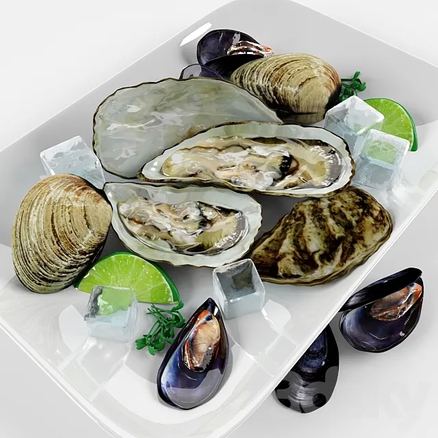 Clams to the table 3D Model