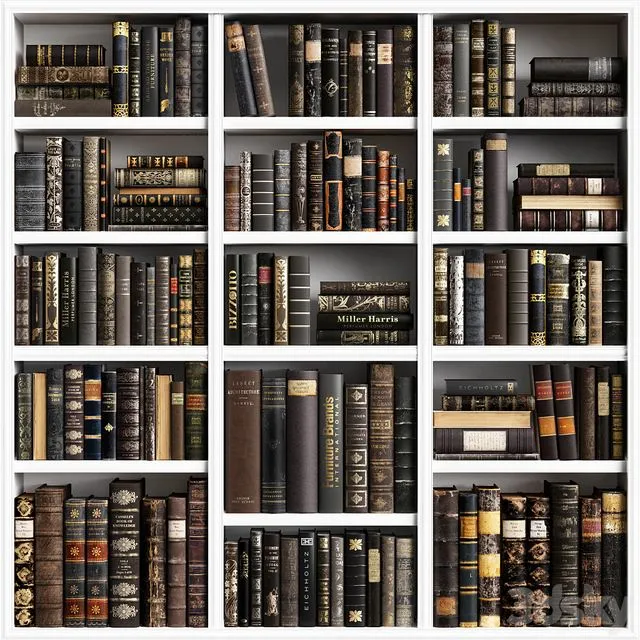 Classic Books 16 3D Model