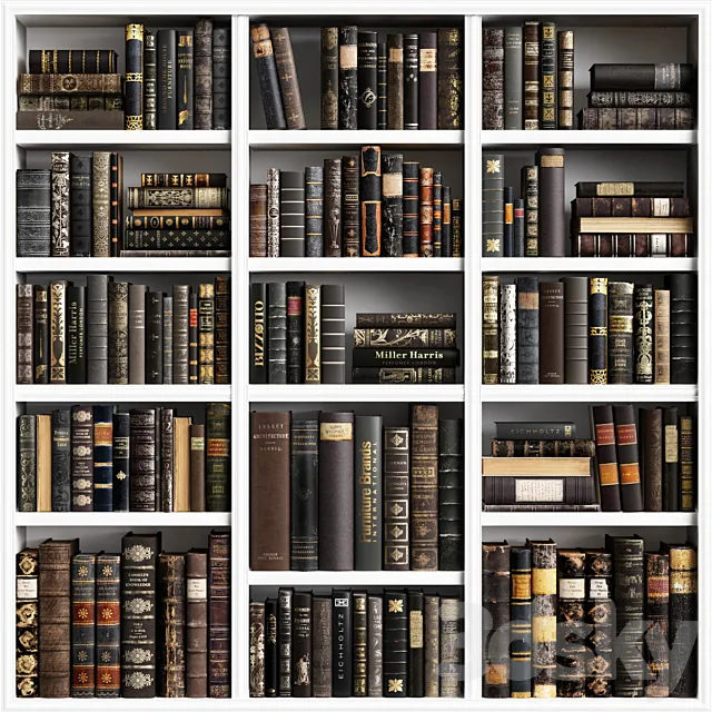 Classic Books 16 3DModel