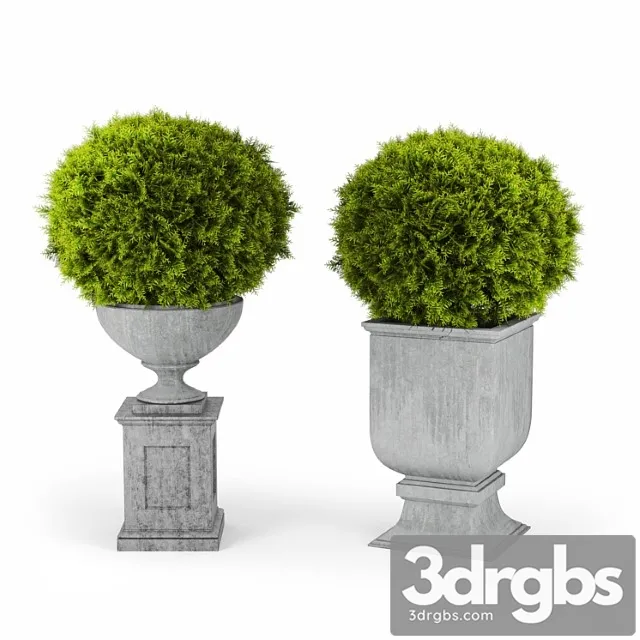 Classic two Classic two