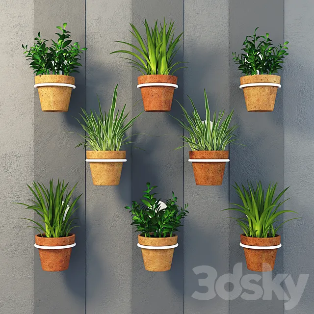 Clay pots with herbs on the wall 3DModel Clay pots with herbs on the wall 3DModel