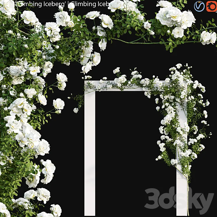 Climbing Iceberg Rose 01 3D Model Free Download