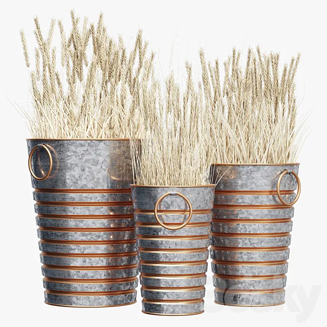 Clintwood 3DModel Clintwood 3DModel