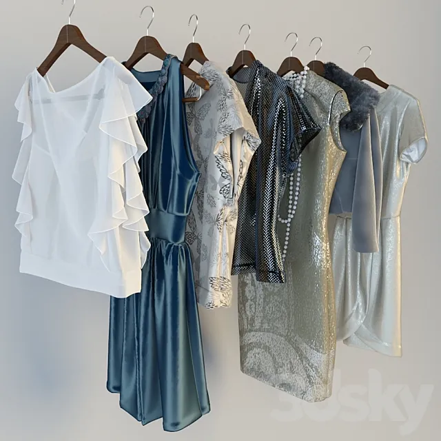 Clothes on hangers 3D Model