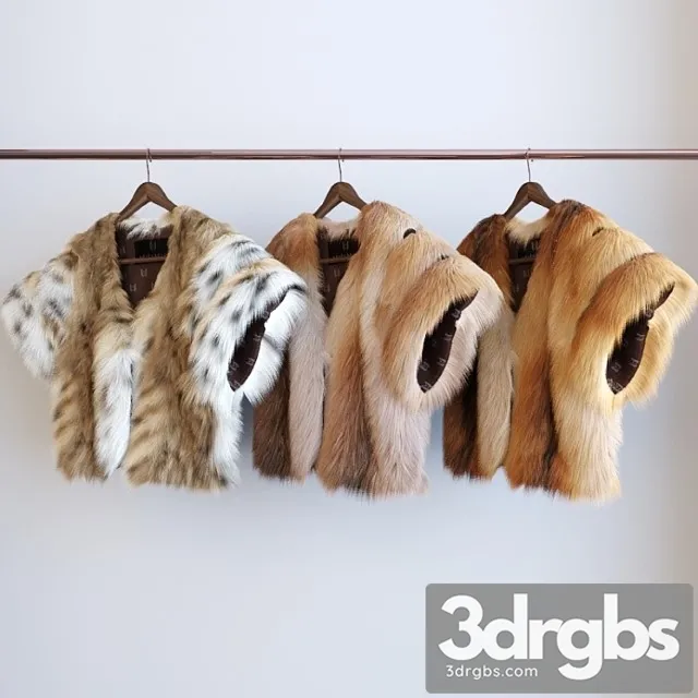 Clothes The 3 types of fur 3D Model Download