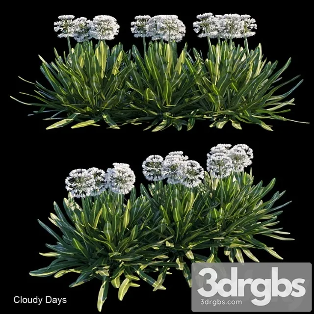 Cloudy Days 3D Model Download