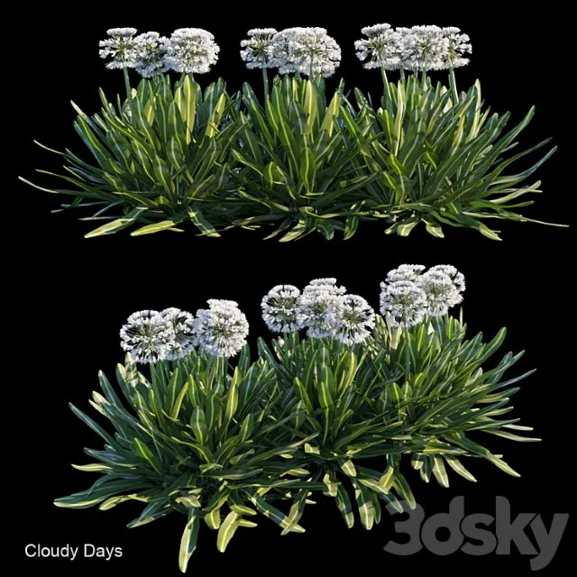 Cloudy Days 3D Model Download