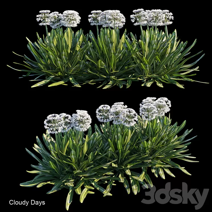 Cloudy days 3D Model