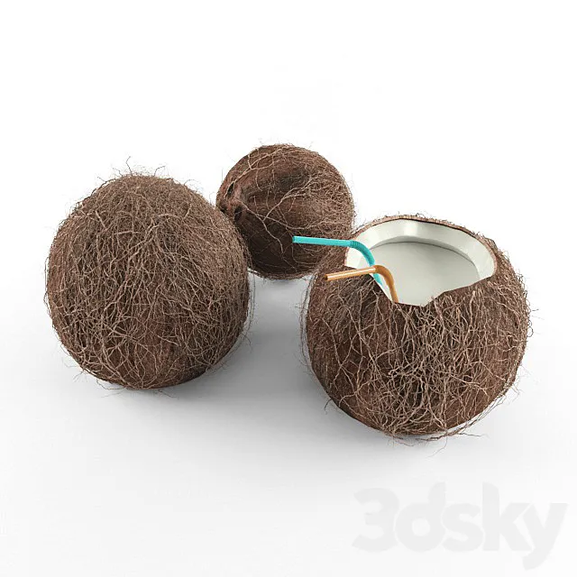 Coconut 3D Model