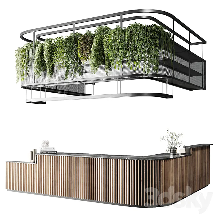 Coffee shop reception Restaurant counter by hanging plant – 03 3D Model Free Download