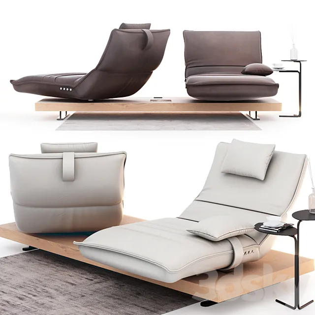 Coinor _ Edit Free Motion 3D Model Coinor _ Edit Free Motion 3D Model