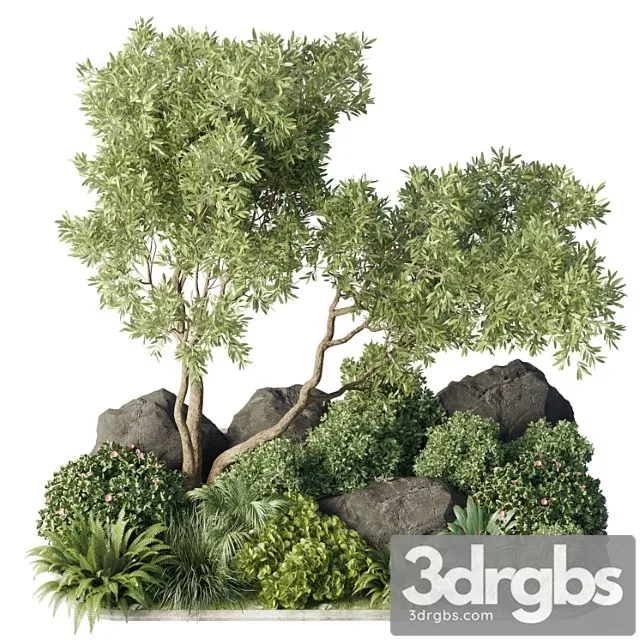 Collection 40 outdoor and indoor pot plant & tree & bush & fern the garden set pot Collection 40 outdoor and indoor pot plant & tree & bush & fern the garden set pot